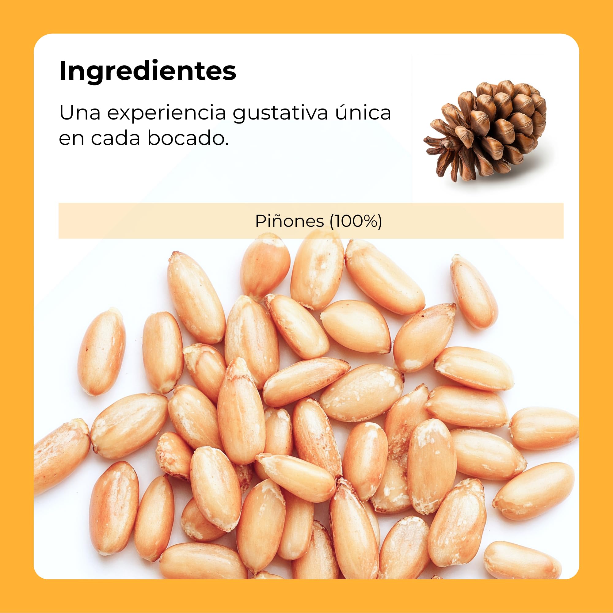Dorimed Pack de Piñones Crudos de Pino 1kg Pelados | Frutos Secos Siberianos Sin Cáscara de Origen 100% Natural | Bolsa en Porciones para Cocinar
