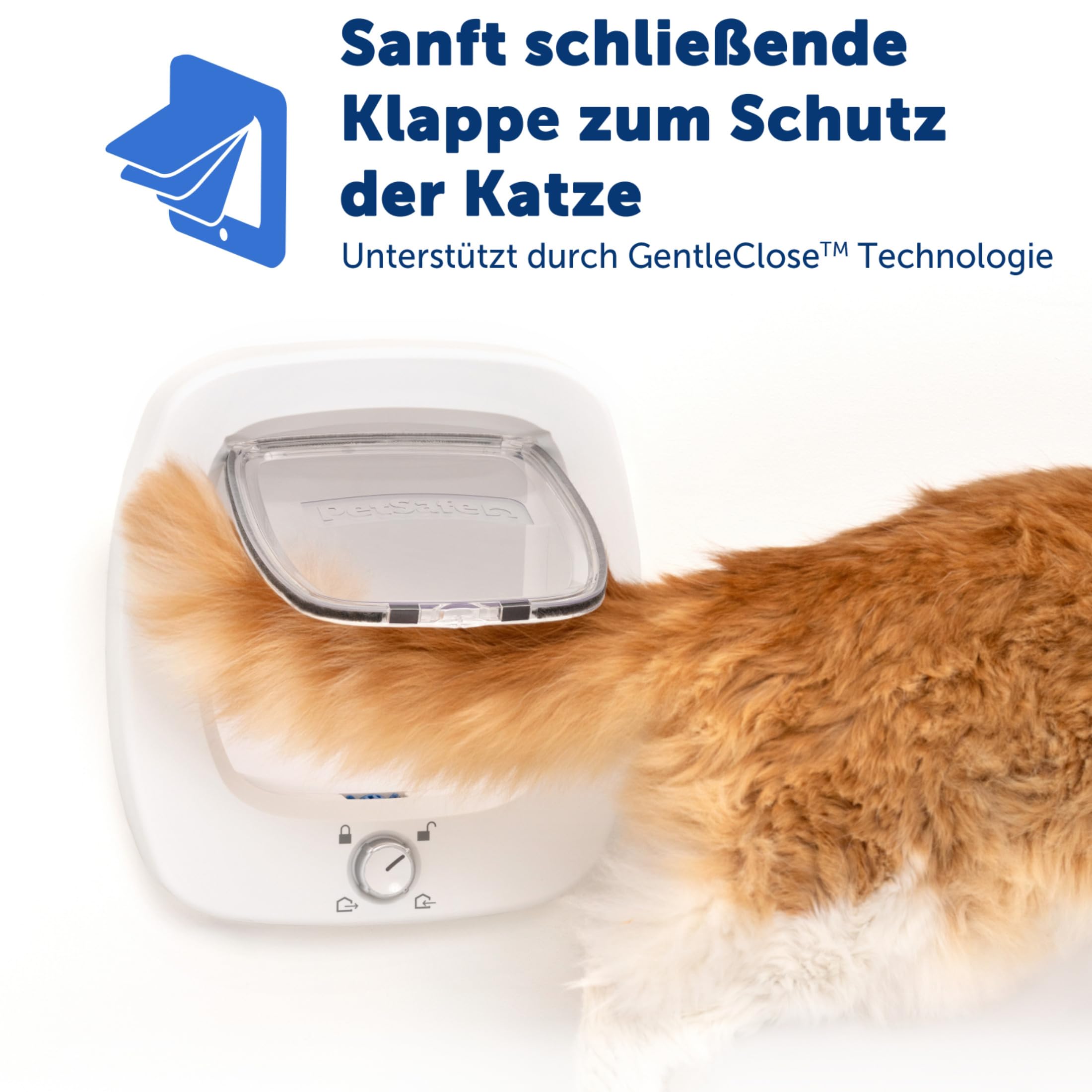 PetSafe Große Katzenklappe - Für Türen im Innen- & Außenbereich - 4 Verschlussoptionen & Sanft Schließende Klappe - Für Katzen & Kleine Hunde