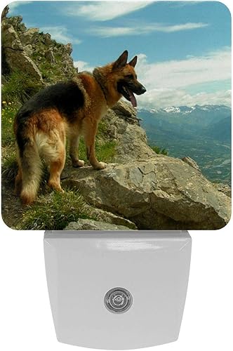 Miniatura 1 de Luz nocturna LED con enchufe de pastor alemán, sensor automático, del atardecer al amanecer, noche decorativa para dormitorio, baño, cocina,