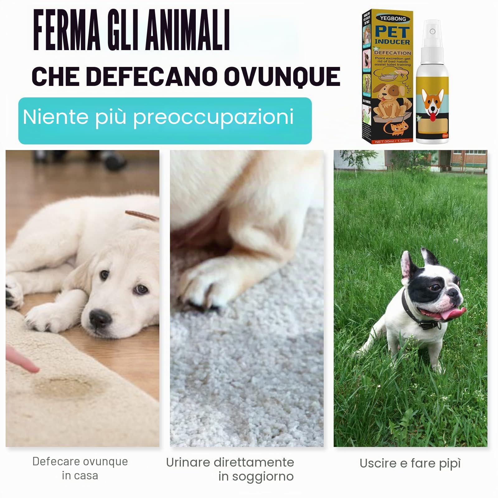 Spray addestramento cuccioli vasino per cani gatti pipì qui