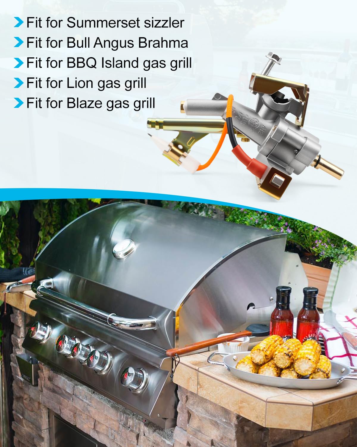 Bull Angus Brahma Summerset Sizzler Gasgrill-Ventil passend für Lion Blaze BBQ Island Gasgrill, Flüssiggas, Lochgröße 1,0 mm