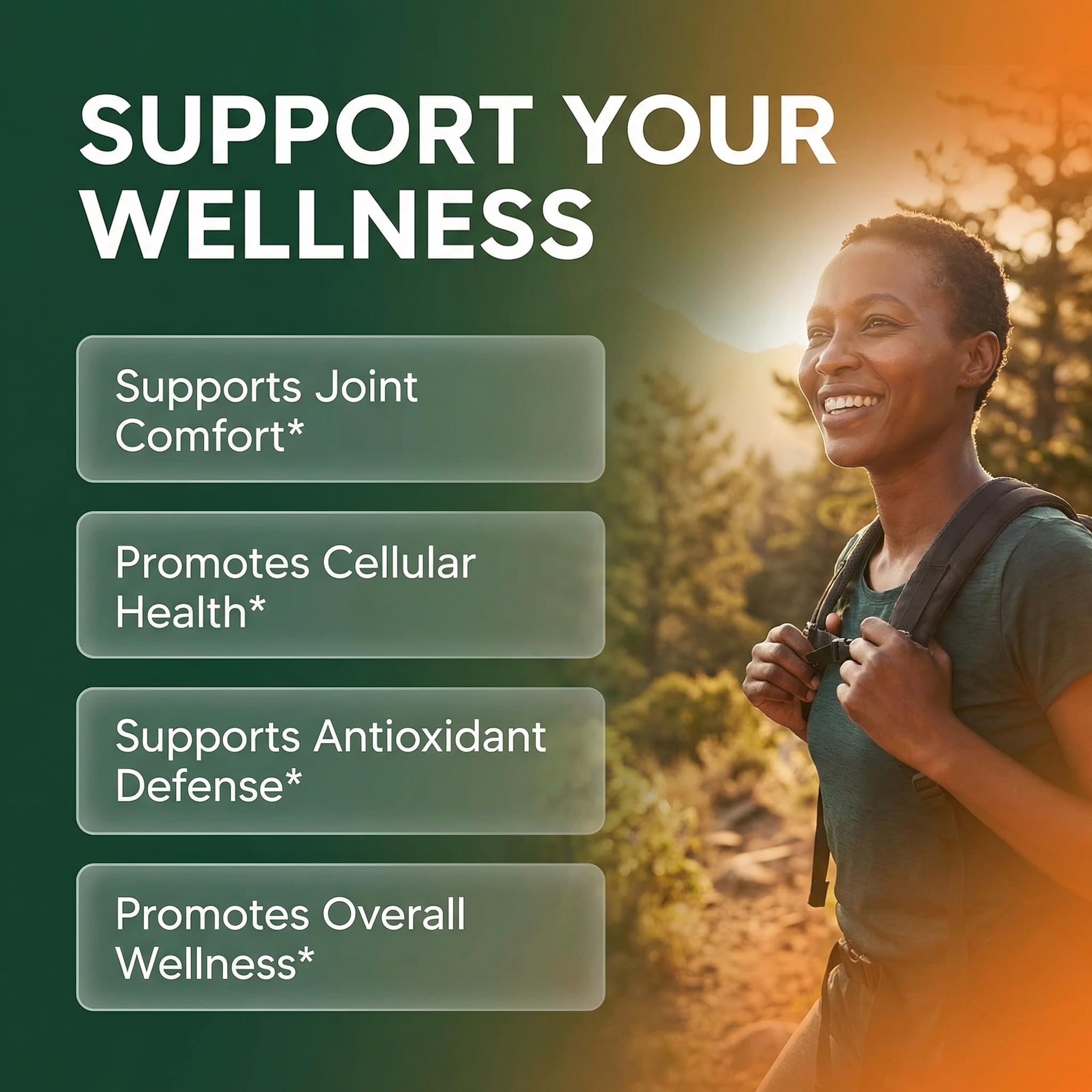 Clean Nutra Soursop Supplement Moringa Sea Moss Black Seed Oil Berberine Turmeric Resveratrol Quercetin Greens Bitters Boswellia Bitter Melon Burdock Root Antioxidant Support 90 Capsules — Amazon image 2