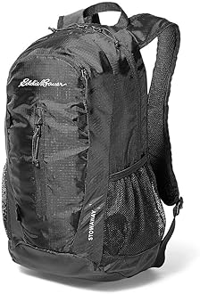 eddie bauer computer backpack