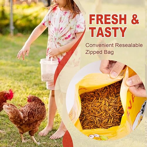 Miniatura 6 de Larvas secas de mosca soldada negra de 11 libras, BSFL es alimento de pollo con alto contenido de proteínas con 85 veces más calcio que los gusanos