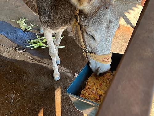 Vista 3 de Paquete de 2 canales grandes de alimentación y bebedero con clips, para cabras grandes, pollos, patos, ganado, ovejas, perros, cerdos, ciervos, Negro