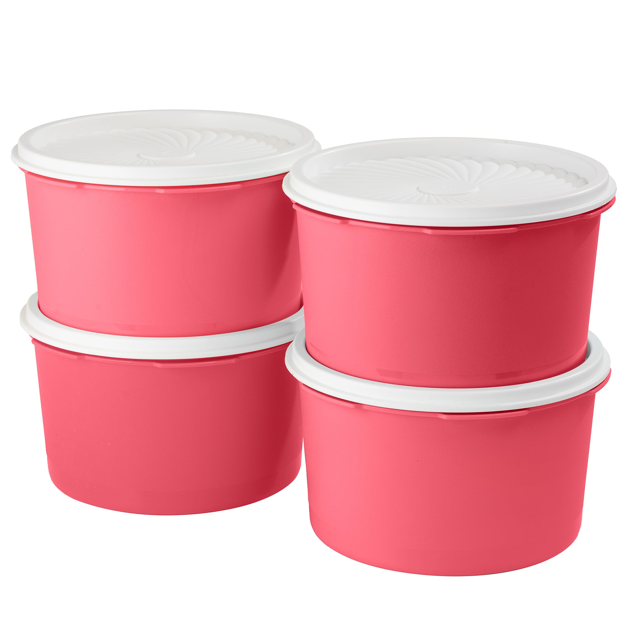 【container】MAISON SPECIAL MA-1 container】MAISON SPECIAL MA-1 container】MAISON SPECIAL MA