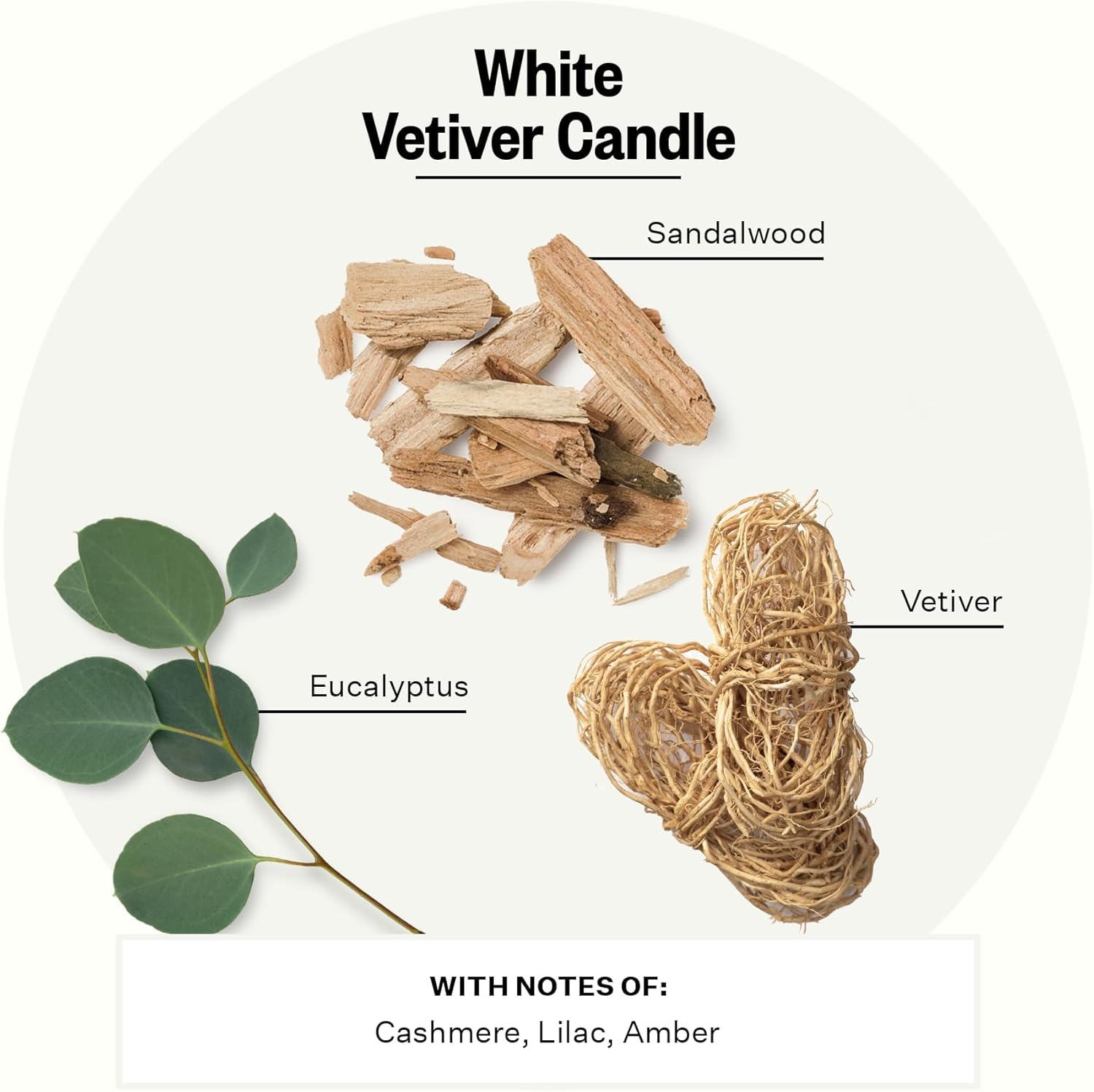 Apotheke Signature Scented Candles for Home, White Vetiver - 10.5 oz - Soy Wax, Non Toxic, Large Jar White - Luxury Candle Gifts for Women & Men - Sandalwood, Eucalyptus, and Vetiver