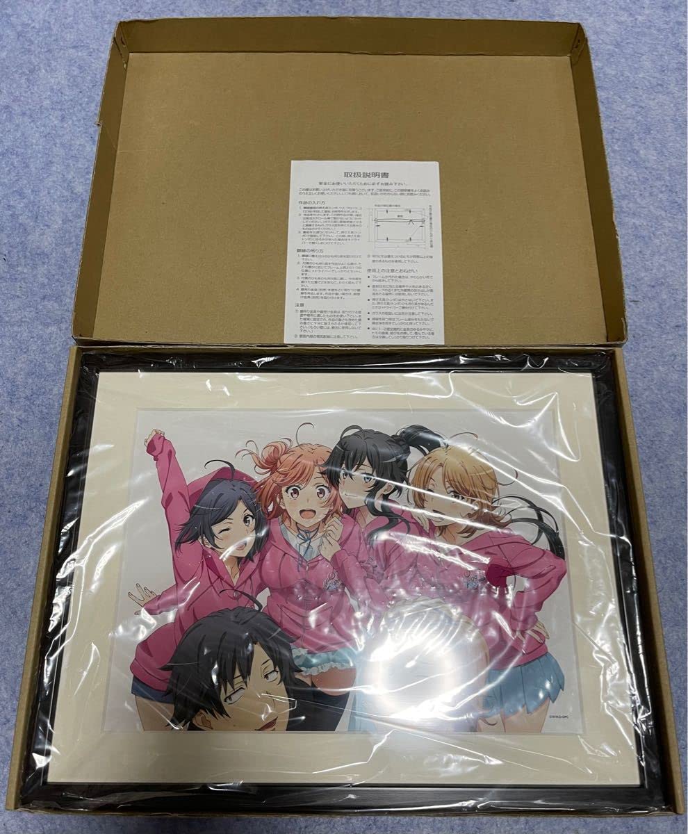 Amazon.co.jp: やはり俺の青春ラブコメはまちがっている 俺