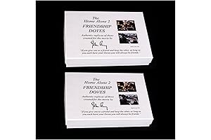 HOME ALONE Kevin McCallister 2x Doves Figurines