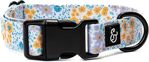 Lucy & Co. Collar de perro de Among The Wildflowers, collar de diseño ligero y duradero para mascotas, hebilla de seguridad metálica ajustable,