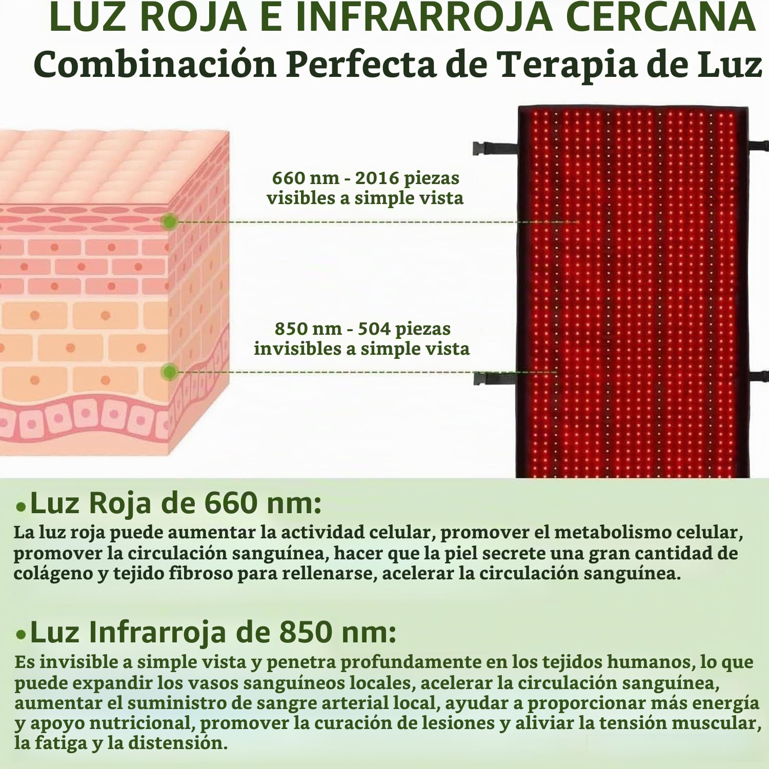 Estera De Terapia De Luz Roja De 2570 Piezas LED, Que Incluye LED Rojo De 660 Nm Y LED Infrarrojo De 850 Nm, El Controlador Ajusta El Brillo En 5 Niveles, Almohadilla Térmica De Estera De Luz Roja Par