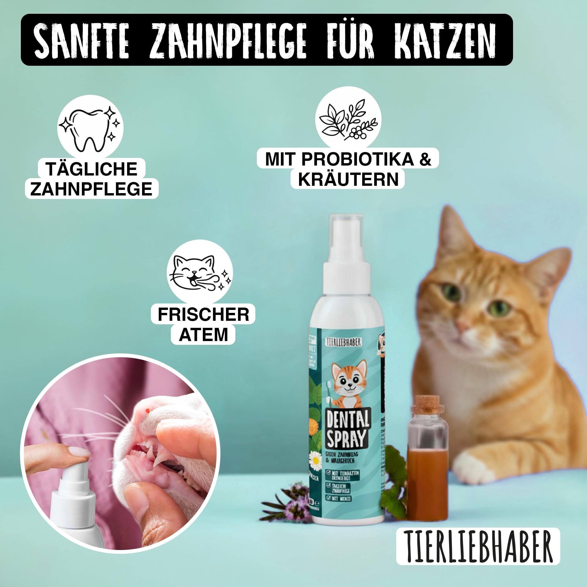 TIERLIEBHABER Dentalspray für Katzen Zahnpflege – Zahnpflege Katzen Zahnpasta Alternative – Gegen Katze Mundgeruch & Zahnstein Katze 100% natürlich – Tierärztlich in Deutschland entwickelt