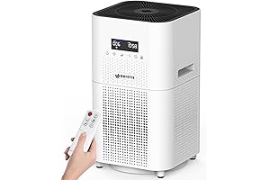 HEPA Air Purifiers for Whole Home Coverage