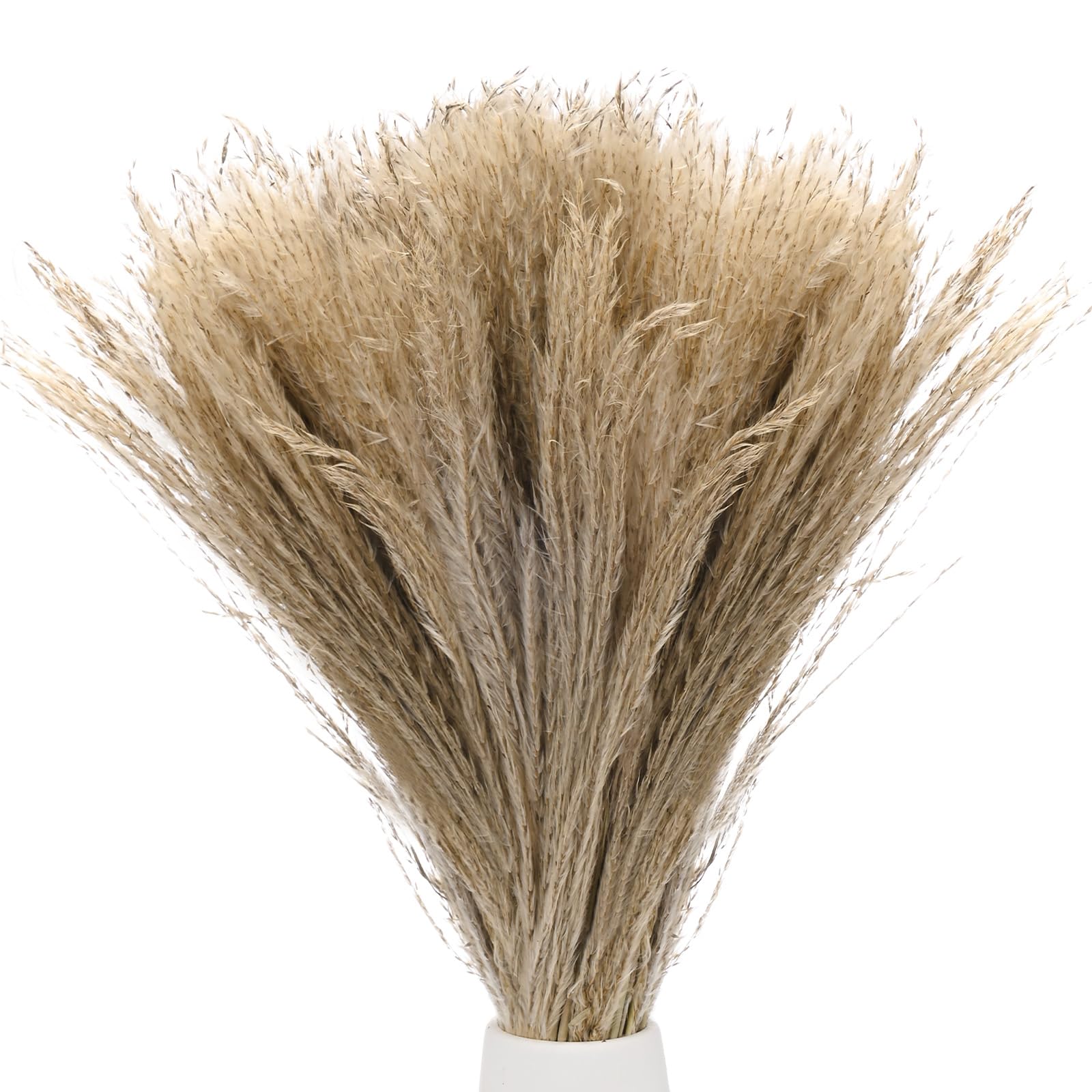 Herbe de la pampa artificielle petite pampa herbe décorative maison et vase 150 pcs