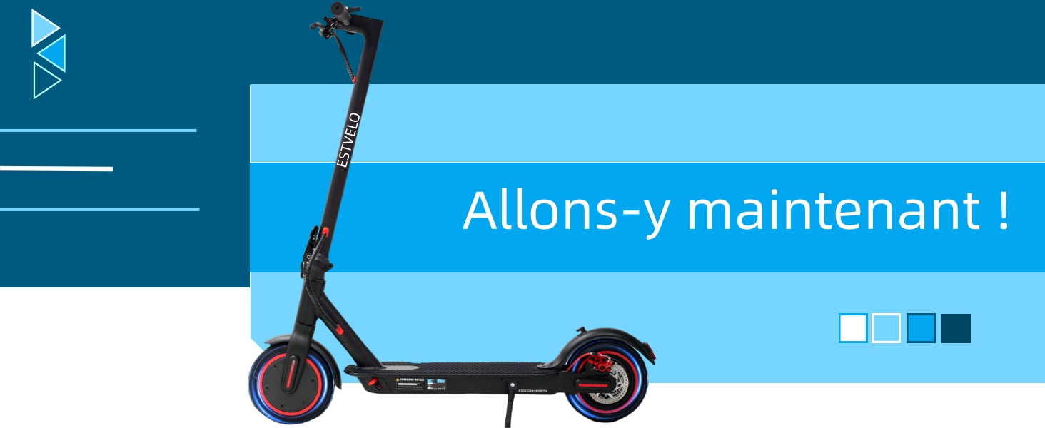 ESTVELO Trottinette Electrique S2 - [Pneumatique à 2 Couche, Portée De 20 Km, Max.25 Km/h, Charge 120 Kg, E-ABS + Frein à Disque,APP, Affichage LED] (S2