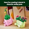 LEGO Botanicals Plantas Mecedoras - Juguete de Construcción para Niños, Niñas y Niños, Mayores de 9 Años - Decoración para Escritorio o Estante - Ideas de Regalo para Estrenar Casa - 11506 5