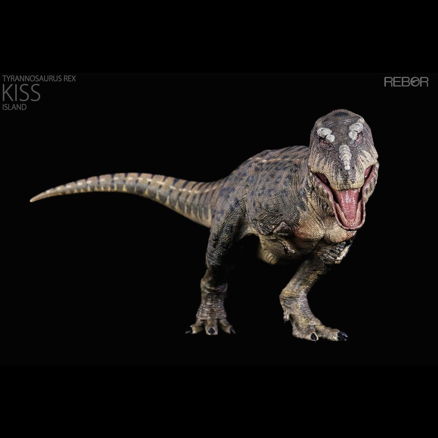 XINPANYIAN Tyrannosaurus Rex Dinosaur Model, 1:35 Scale, Movable Jaw, REBOR T-Rex Kiss Island Version