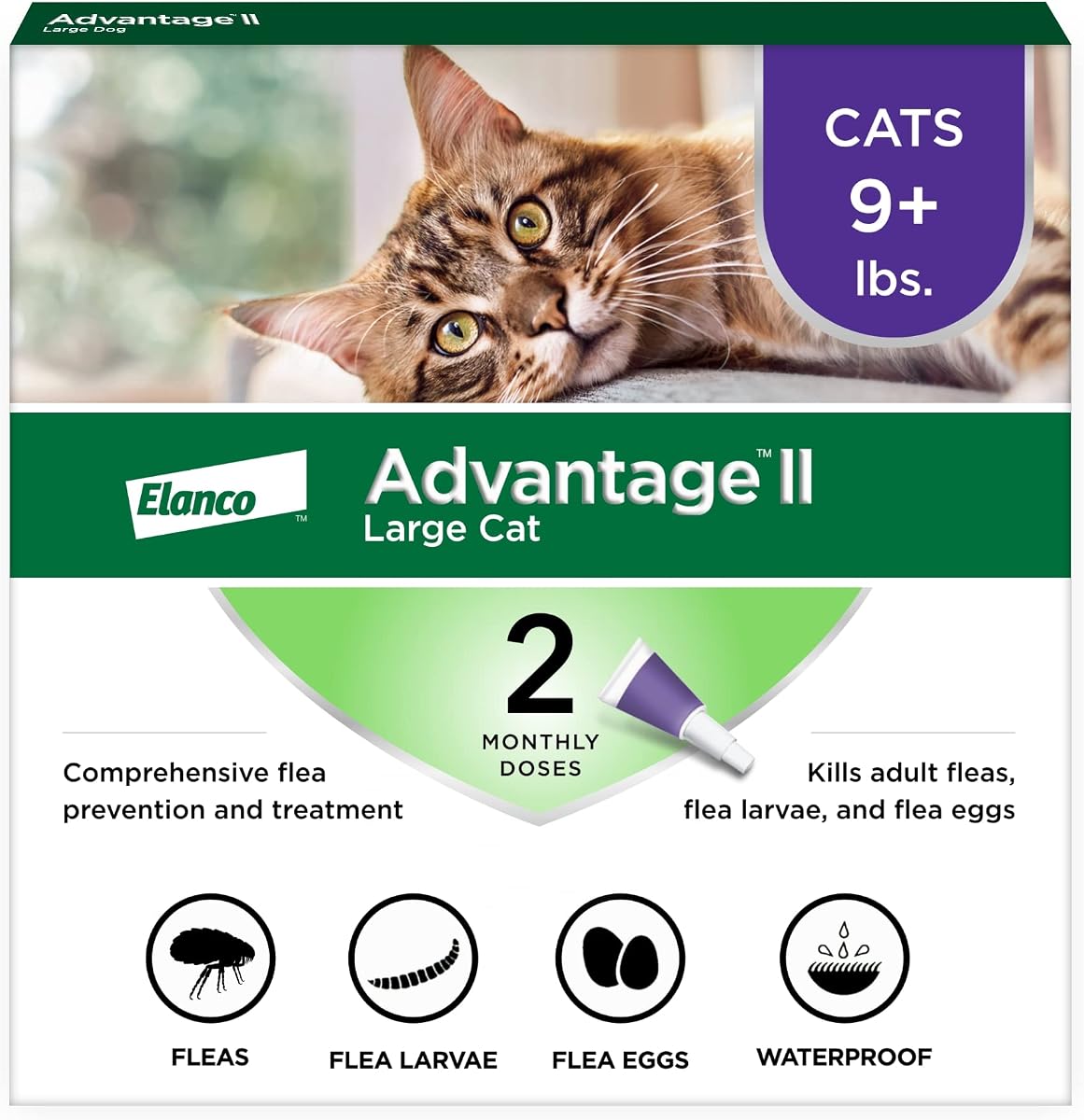 II Tratamiento y prevención de pulgas recomendado por veterinarios para gatos grandes | Gatos de más de 9 lbs. | Suministro para 2 meses