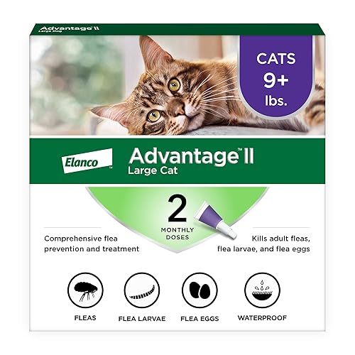 Advantage II Large Cat Vet-Recommended Flea Treatment & Prevention |