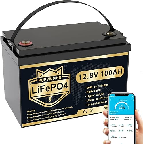 Batería de litio LiFePO4 de 12 V 100 Ah, batería de litio Bluetooth, 100 A BMS, hasta 15000 ciclos, energía máxima de 1280 Wh con 10 años de