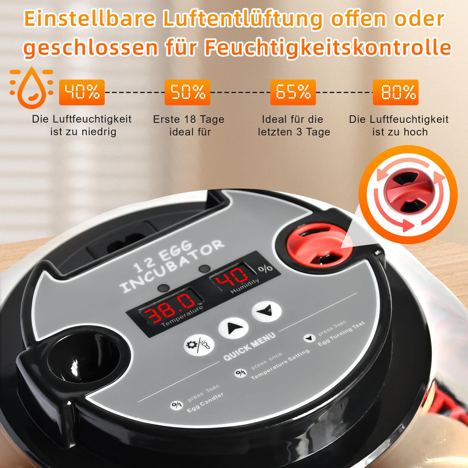 Brutautomat Vollautomatisch für 12 Eier, Digitale Brutmaschine mit Automatischem Eierwender & Feuchtigkeitsregelung, Inkubator Brutkasten mit Schierlampe für Hühner, Wachteln, Enten