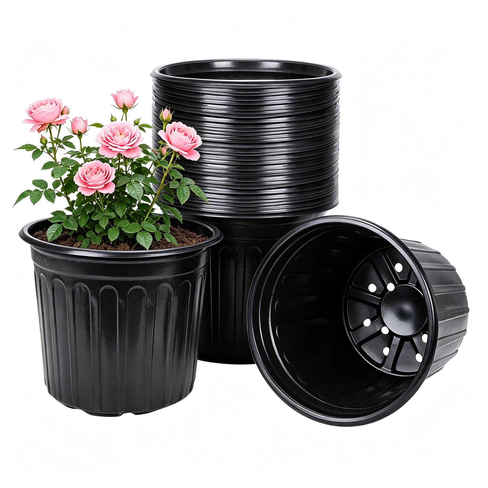 Pots de fleurs 10L pour réussir vos semis de tomates et plantes grasses sur le balcon