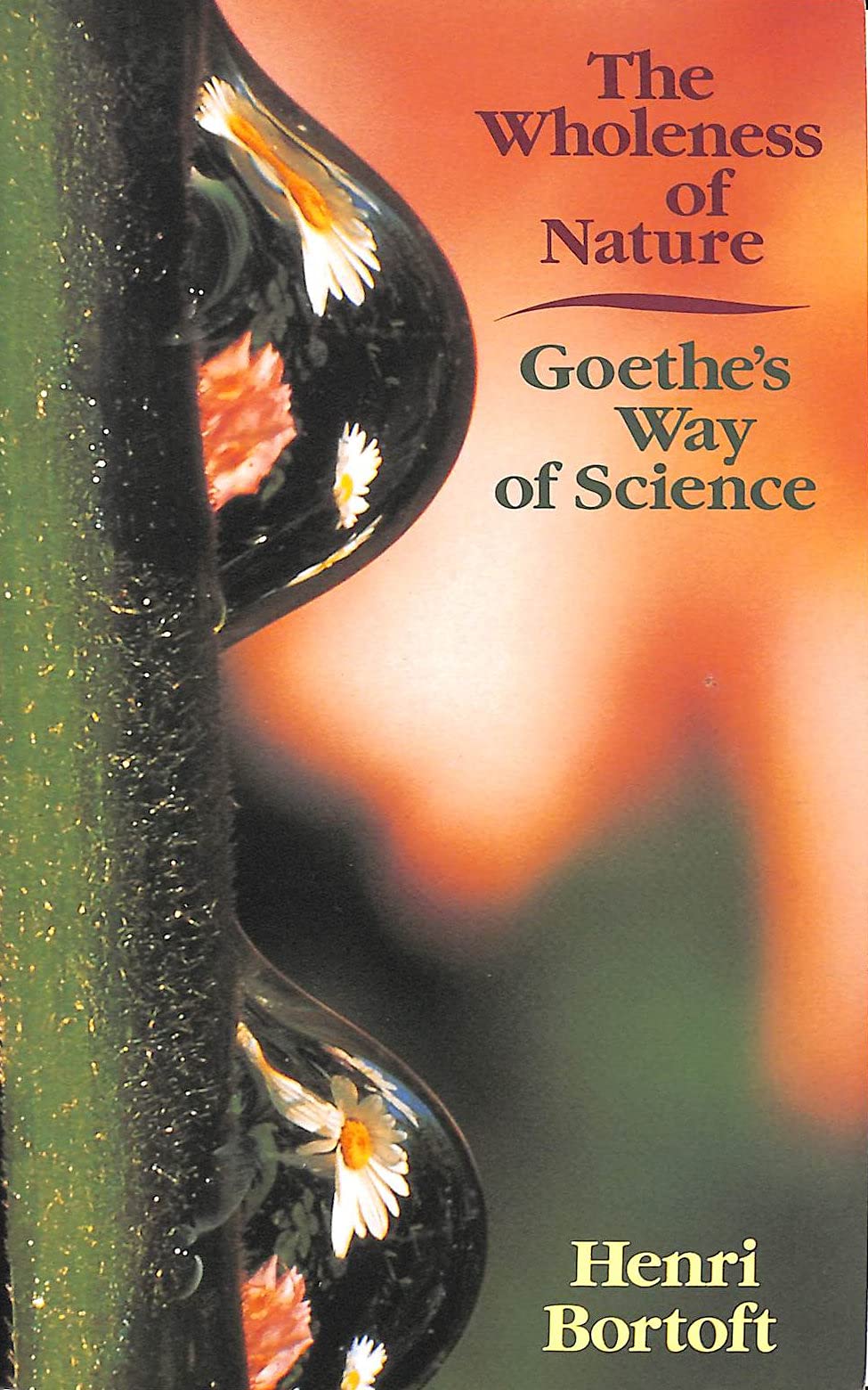 The Wholeness of Nature by Henri Bortoft - 9780863152382