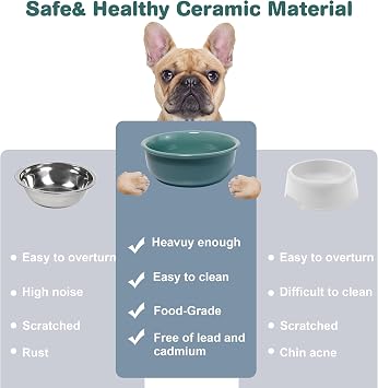 Elevated Ceramic Double Dog Bowl Set(Light Green) & Single Replacement Dog Bowl(Dark Green)