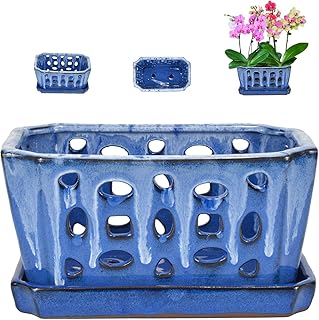 W&W Orchid Pot with Holes & Saucer