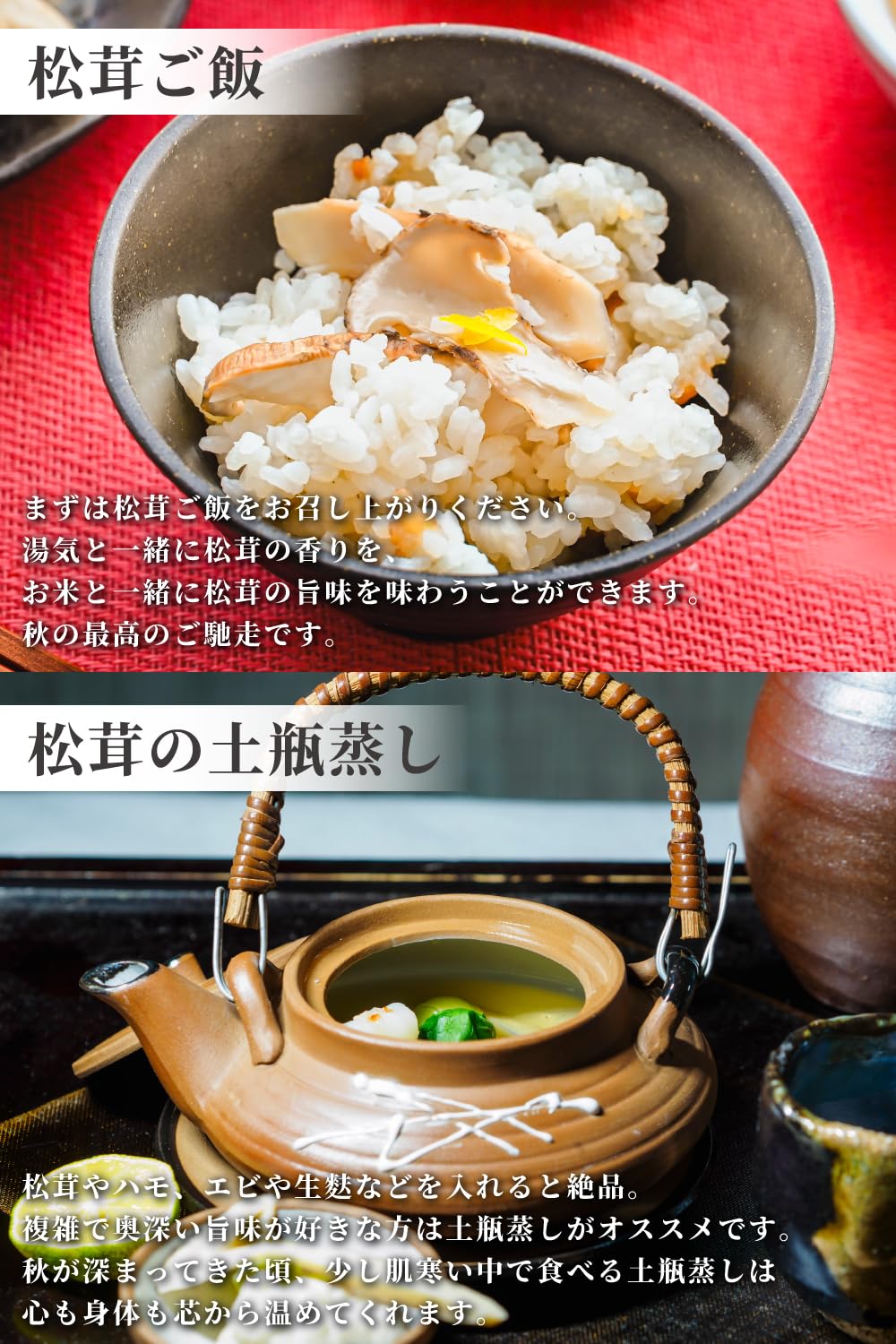 Amazon.co.jp: 【訳あり】松茸 生松茸 冷凍 500g 4-7cmサイズ スライス