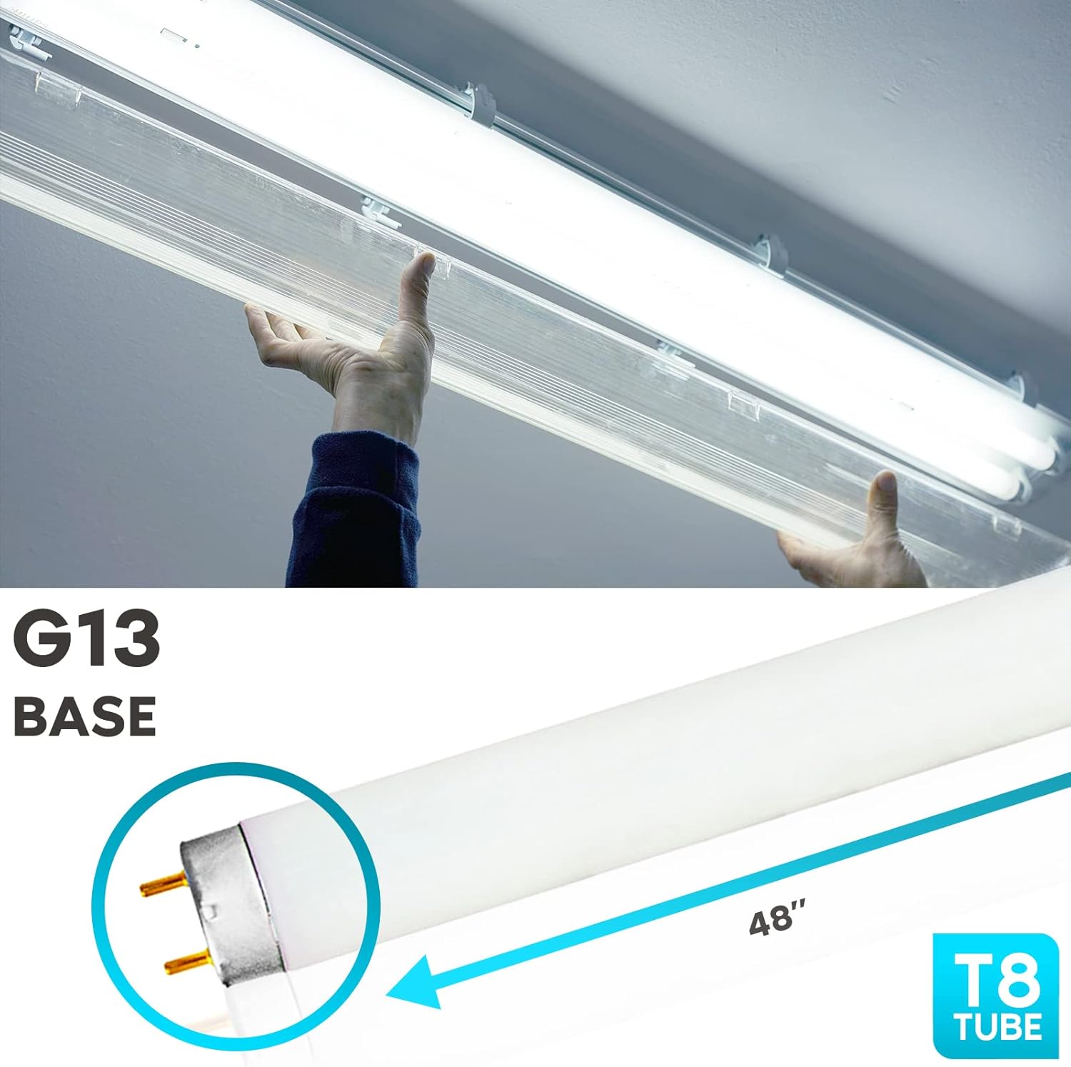 luxrite f32t8/865 32w 48 inch t8 fluorescent tube light bulb, 6500k daylight, 2800 lumens, g13 medium bi-pin base, lr20735, 4-pack 6500k (daylight) 4 count (pack of 1)