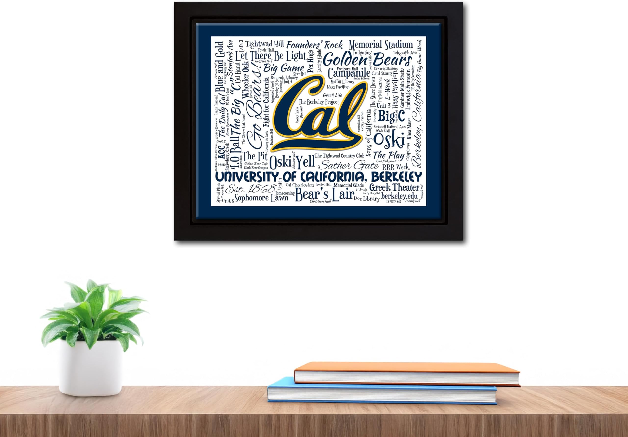 University of California, Berkeley (Cal) 16x20 Beautifully Framed Canvas Art Piece