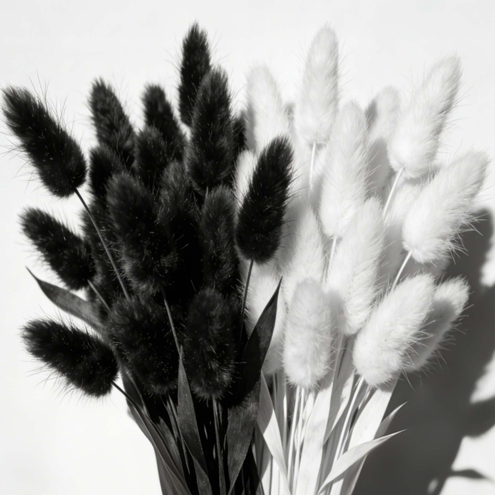 Lot de 120 fleurs séchées à l'herbe de la pampa pour vase, fleurs séchées pour haleine de bébé, décoration de mariage, fleurs sèches pour vase (blanc 60 pièces + 60 noirs)