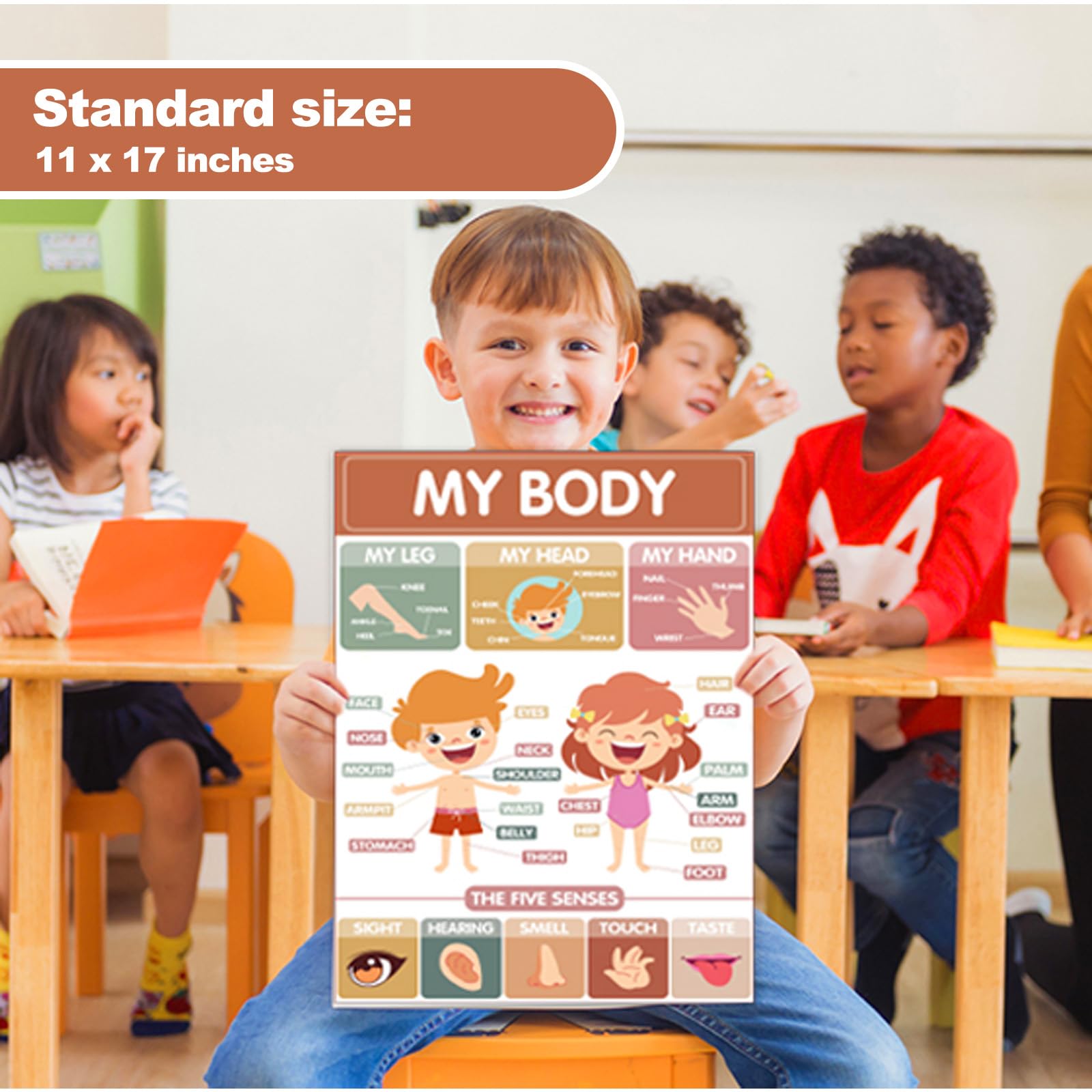 YKQuarnion 18 affiches éducatives bohèmes pour tout-petits de 1 à 5 ans – ABC, chiffres, couleurs et formes laminés pour l'école maternelle et la maternelle – Décoration de salle de classe (27,9 x