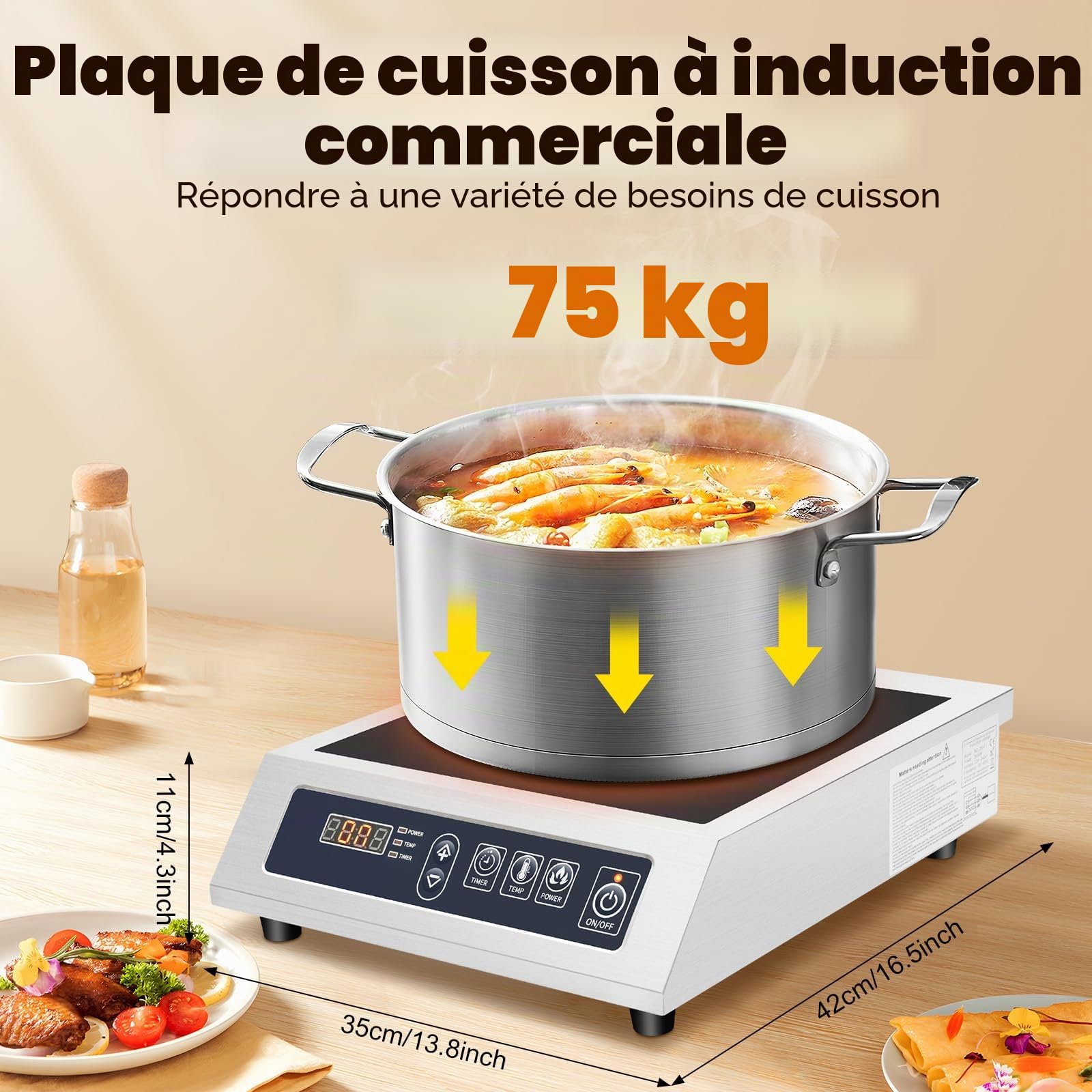 Plaque de cuisson à induction professionnelle 3500 W - 11 niveaux de puissance - Minuterie 24 h - Pour la restauration et la maison - Verre microcristallin - Prise européenne (argenté/bleu