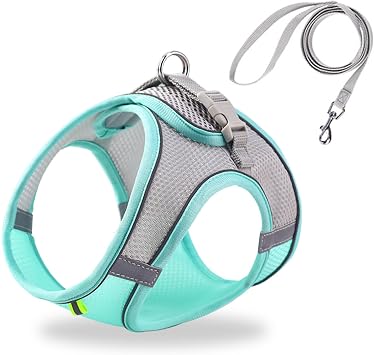 Cat Harness and Leash Set Soft Adjustable Escape Proof Cat Leash Breathable Comfortable Vest Easy to Wear Kitten/Small Dogs Harness for Outdoor Walking
