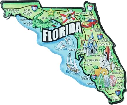 Vibrant Florida State Acrylic Magnet Illustrated Travel Souvenir, 3 x 3 Inches