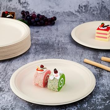 Vplus 500 Pack Compostable Bagasse Paper Plates 10.25 inch, Nature