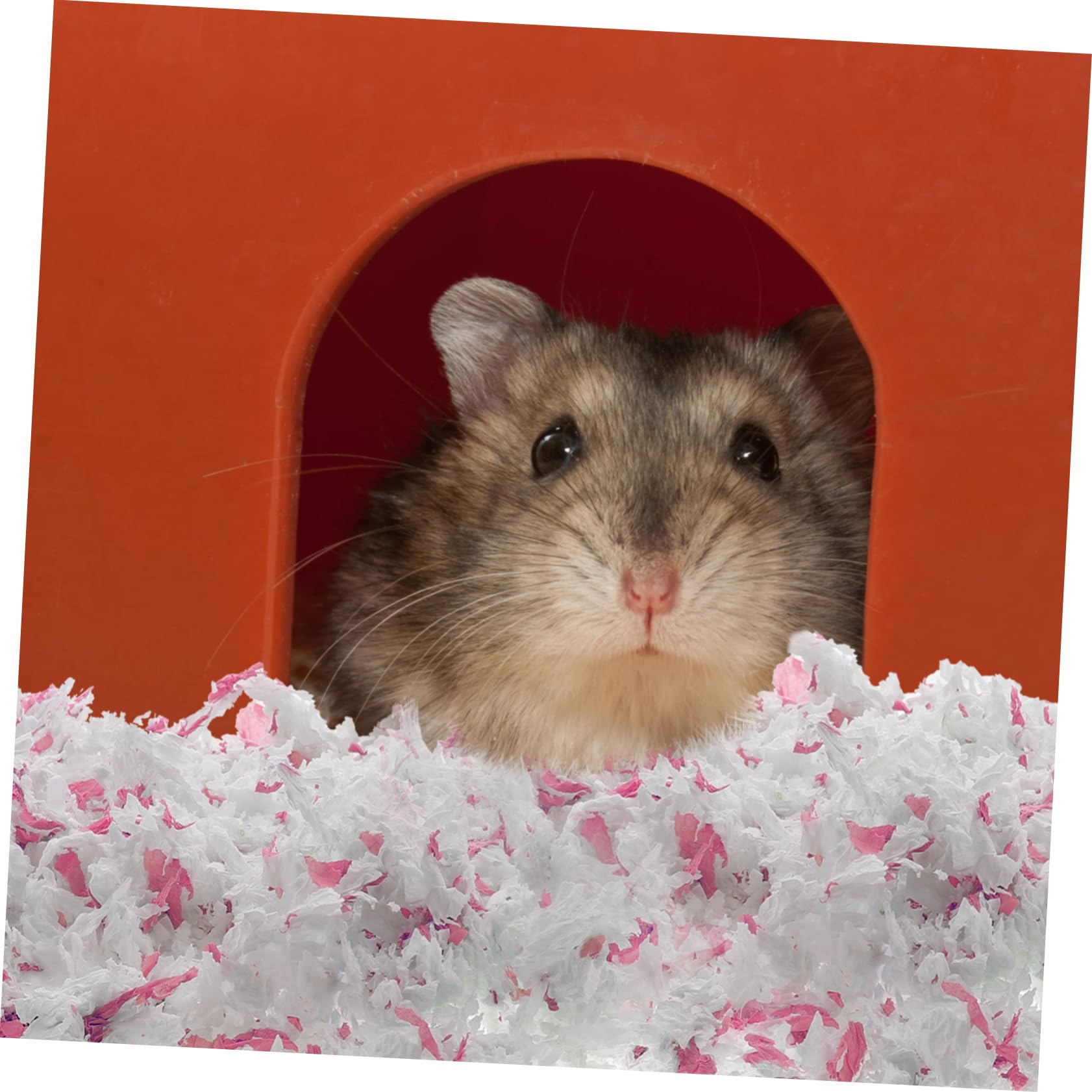 Lettiera in Carta Bianca 450g, Materiale da Nido per Gerbilli e Cincillà, Assorbe L’umidità e Mantiene Pulita la Gabbia per Animali Domestici