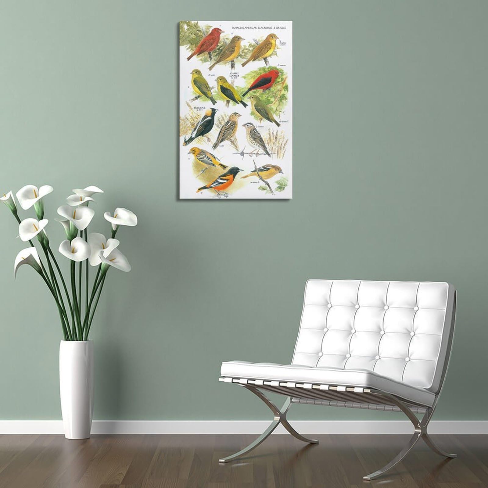 OKNGB Kinder-Zoologie-Pädagogisches Poster, Vogelführer-Poster, dekorative Malerei, Leinwand, Wandposter und Kunstdruck, moderne Familienschlafzimmer-Dekoration, Poster, 50 x 75 cm