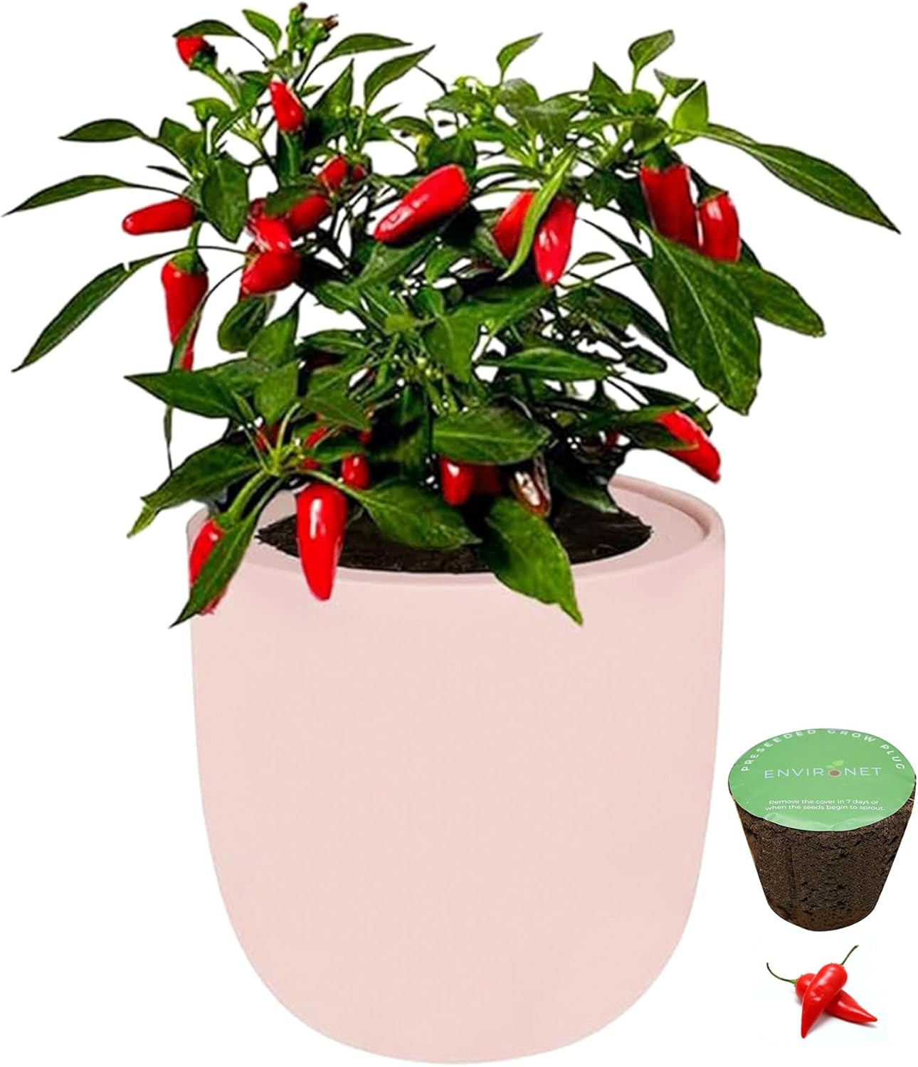 Hydroponic Vegetable Garden Kit, Self-Watering Kitchen Vegetable Garden Starter Kit with Organic Seeds, Cherry Tomato - Tiny Tim