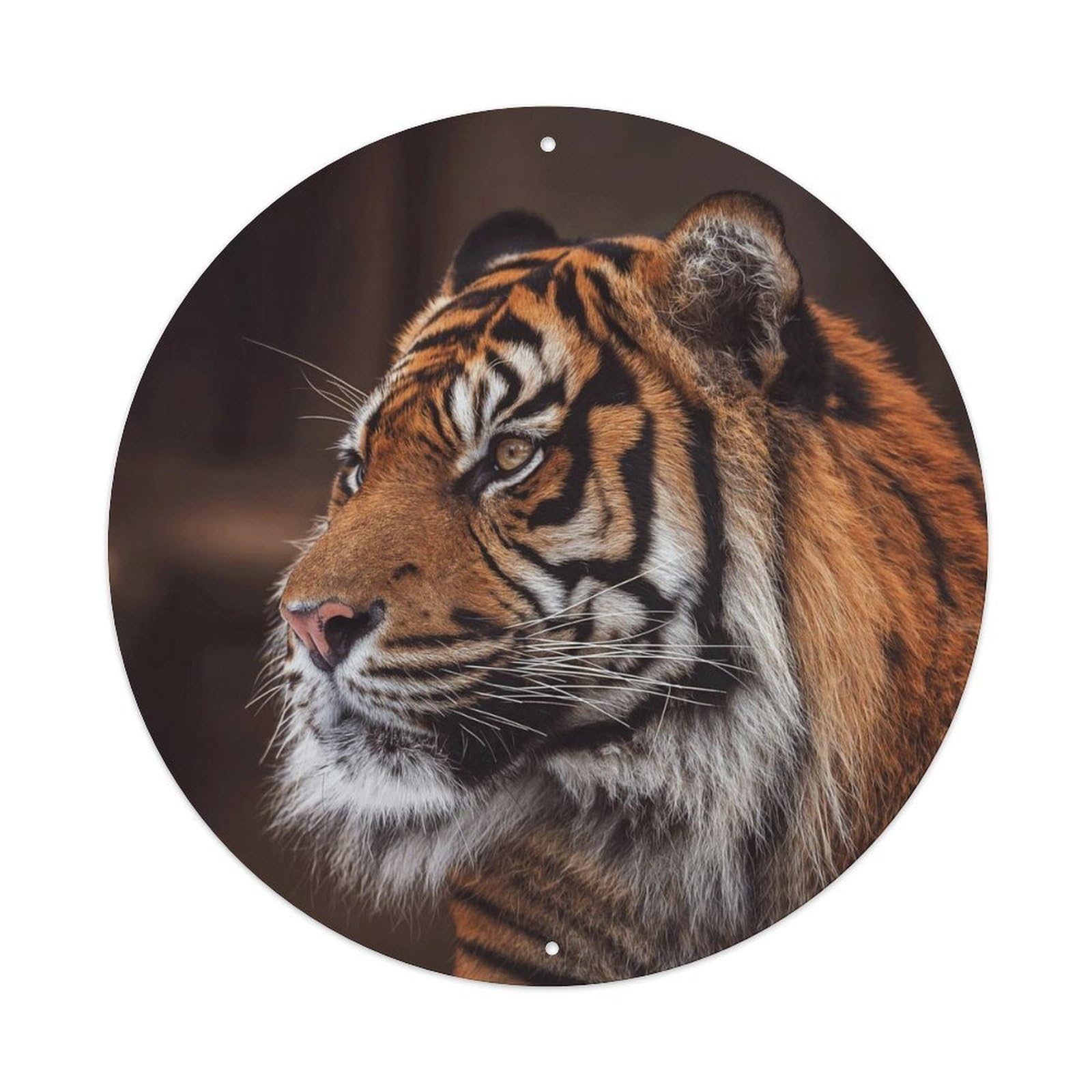 Fierce Tiger Wildlife Portrait Jungle Cat Metal Tin Sign