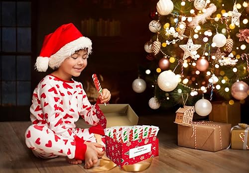 Miniatura 6 de Fruidles Paleta de remolinos de Navidad, sabor a fruta mixta, paletas envueltas individualmente, ventosas de remolinos de 2 pulgadas (paquete de 12)