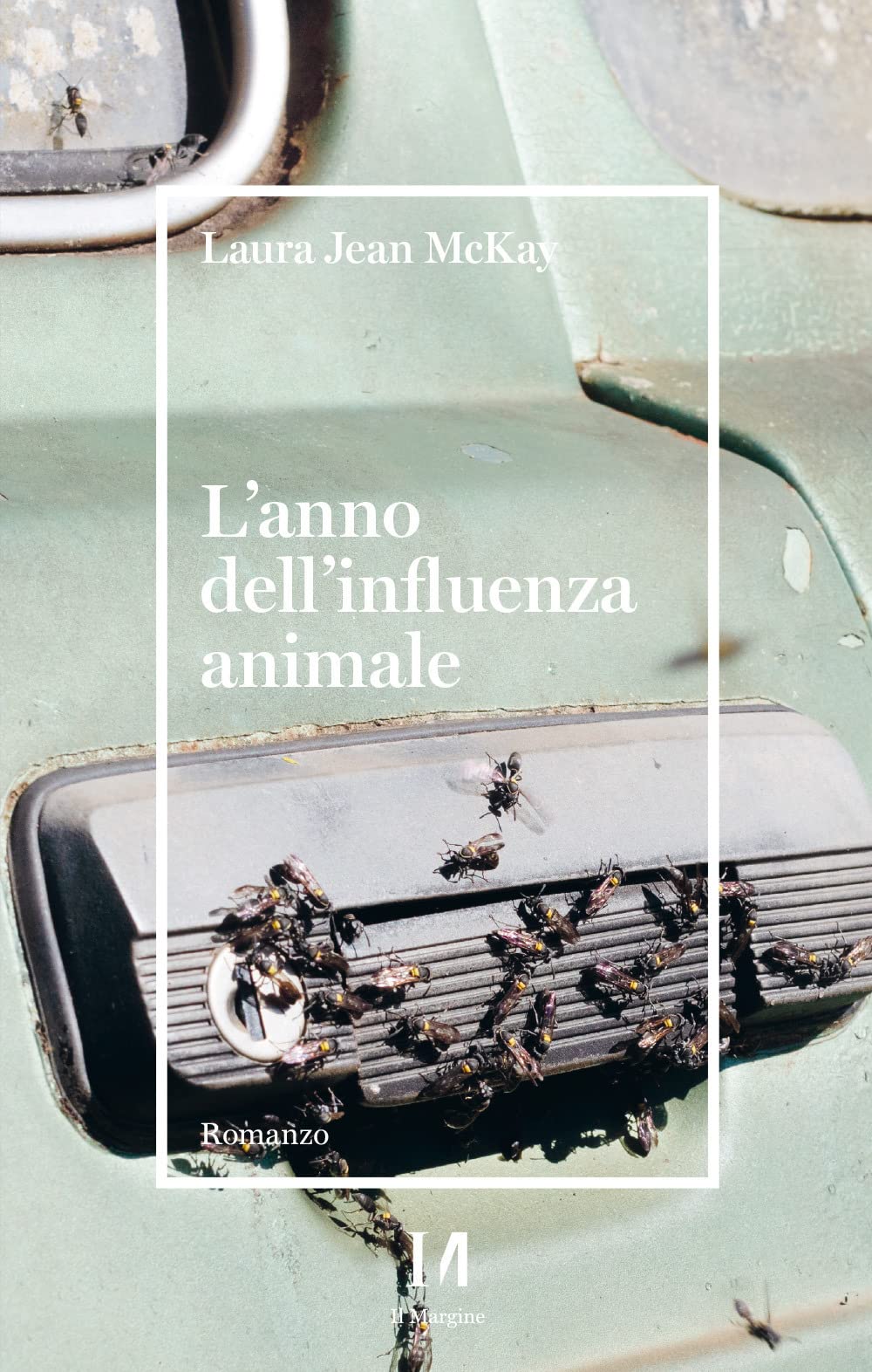 L'anno Dell'influenza Animale - 4