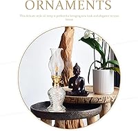 Vista 8 de 2 faroles de vidrio de queroseno para lámpara de aceite, lámparas de aceite vintage para uso en interiores, lámpara de aceite de cámara, lámpara