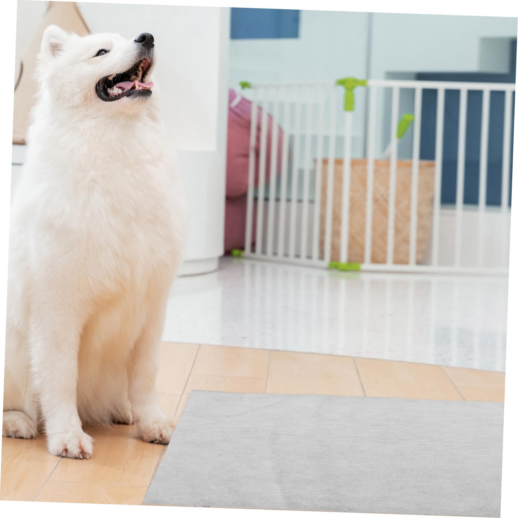 Alèses pour Animaux Super Absorbantes 100 Pièces en Non-tissé pour Chiens | Blanc, Usage Entraînement et Voyage, Format Jetable pour Chiots, Protection Anti-fuite