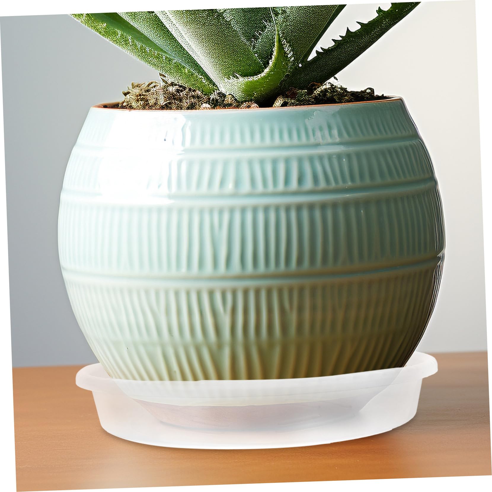 Happyyami 20stücke Pflanzenuntersetzer Wasserschale Für Pflanzen Blumentopfschalen Runder Pflanzenuntersetzer Tropfschale Für Blumentöpfe Pflanze