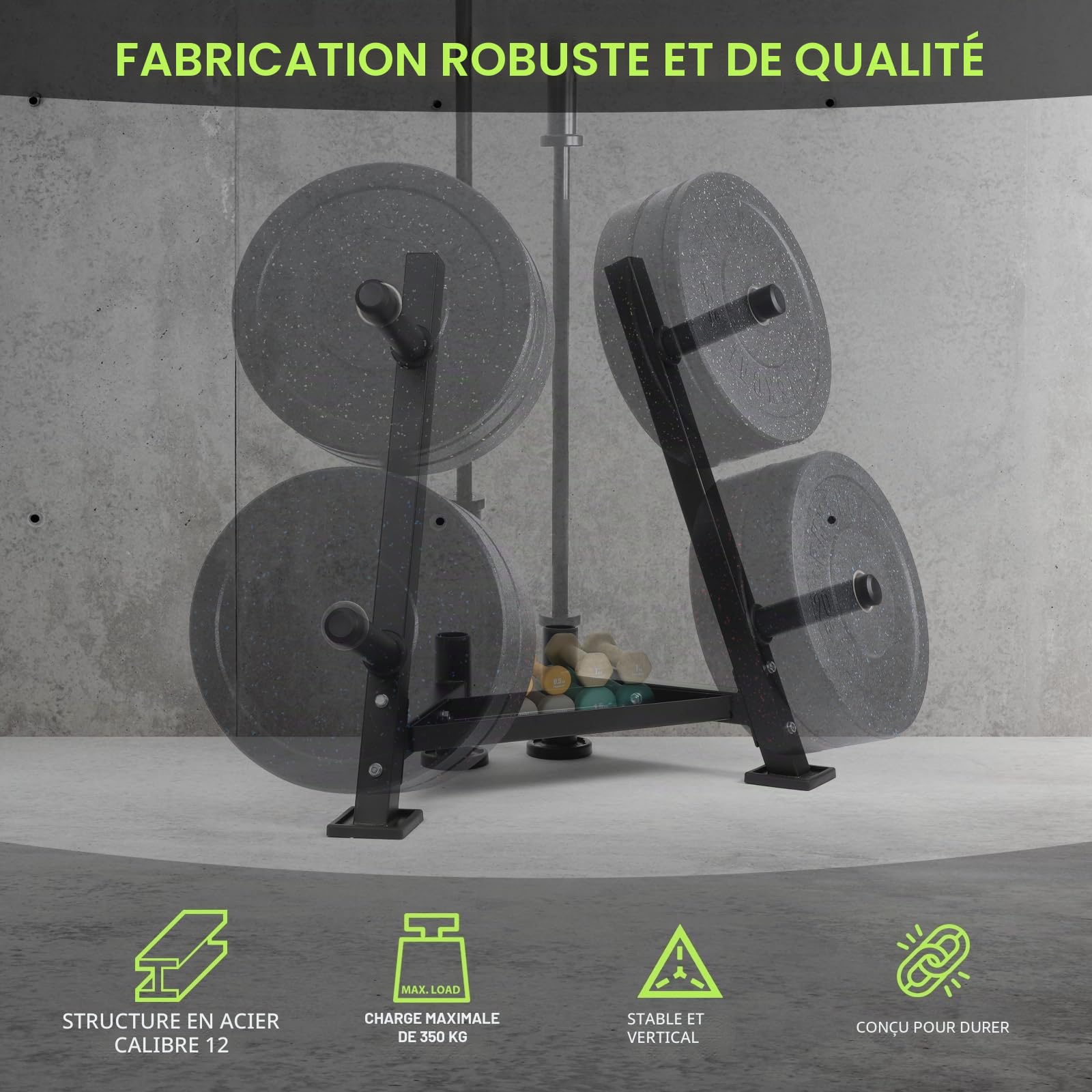 PhysKcal Support pour disques d'haltères en acier robuste | Compatible avec les disques de 25 mm et 50 mm. Support de rangement pour équipement de fitness à domicile