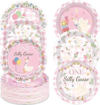 60 Pcs One Silly Goose Paper Plates Party Supplies Silly Goose Pink Gingham Birthday Decorations for Baby Shower Kids Birthday Family Picnic Camping Garden Tea Parties 6 Styles