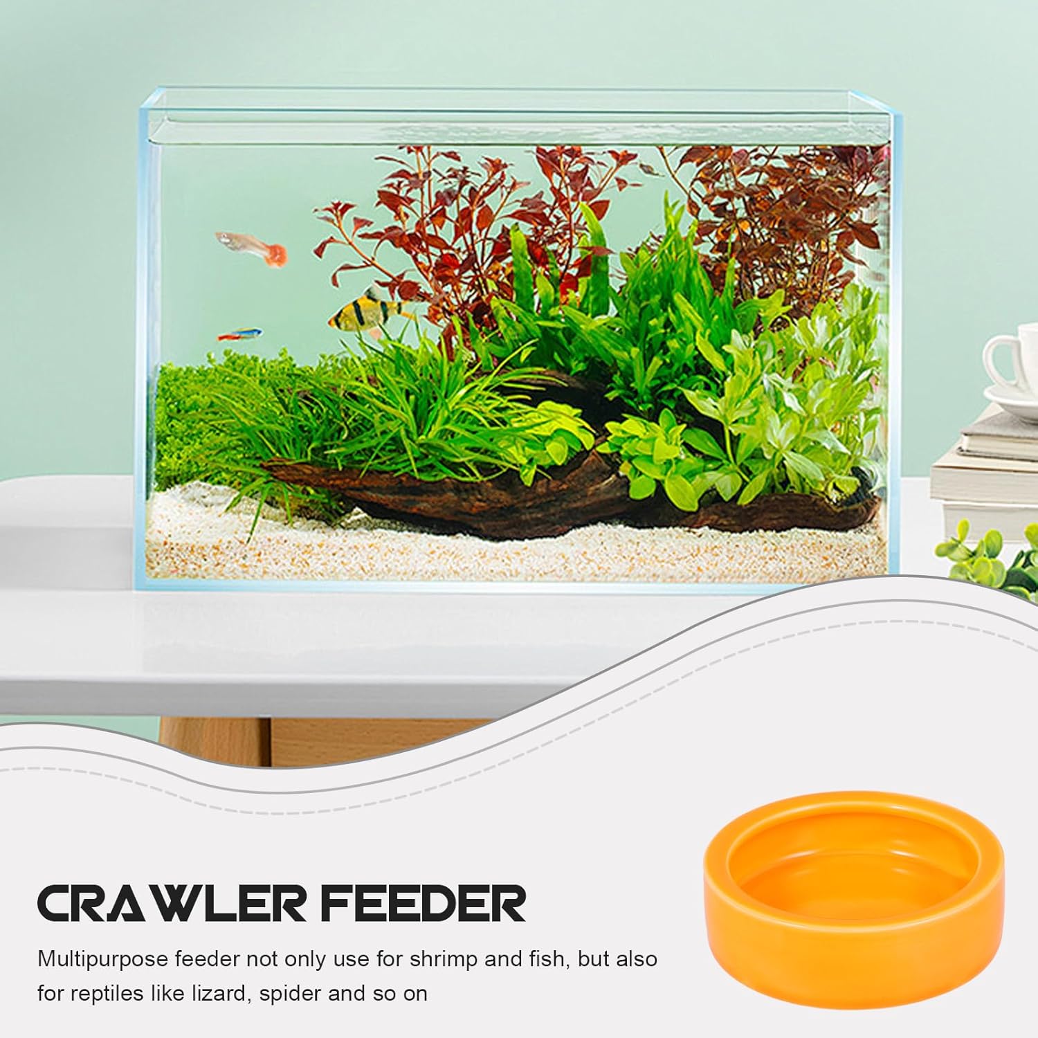 POPETPOP Reptile Food Bowl Escape Feeding Dish Shrimp Fish Crawling Pets